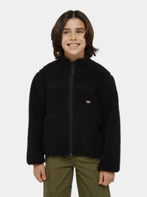 Худі та світшоти Dickies Mount Hope Fleece модель DK0A4Z3TBLK1 Фото