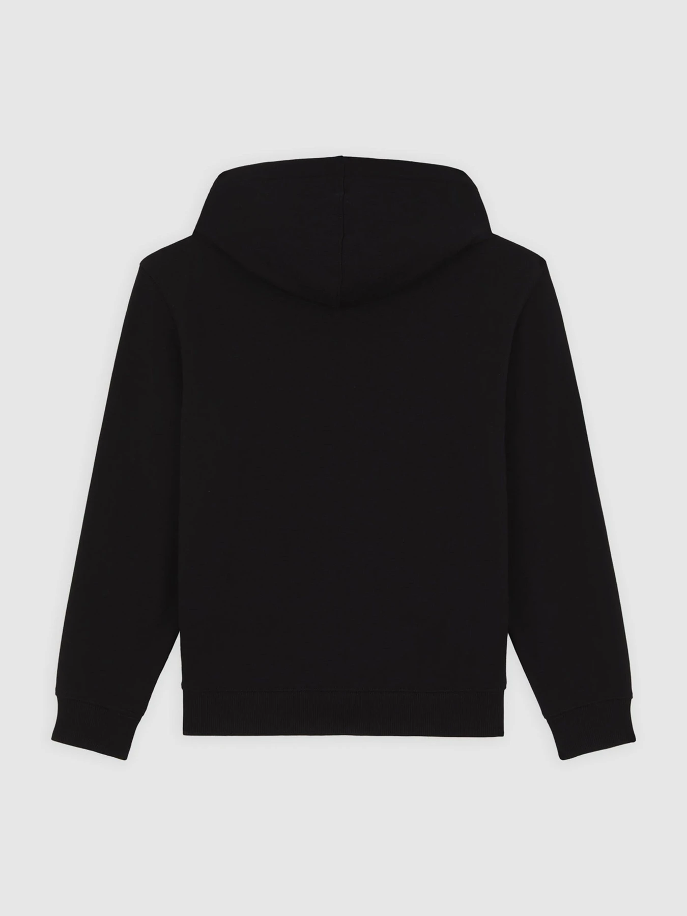 Худи и свитшоты Dickies Terry Full Zip модель DK0A4Z6WBLK1 Худи и свитшоты Dickies Terry Full Zip модель DK0A4Z6WBLK1 Фото