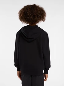 Худи и свитшоты Dickies Terry Full Zip модель DK0A4Z6WBLK1 Фото