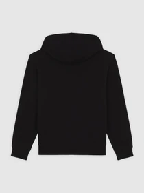 Худи и свитшоты Dickies Terry Full Zip модель DK0A4Z6WBLK1 Фото