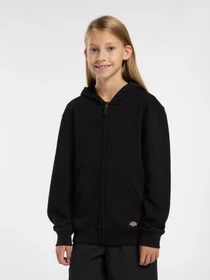 Худи и свитшоты Dickies Terry Full Zip модель DK0A4Z6WBLK1 Фото