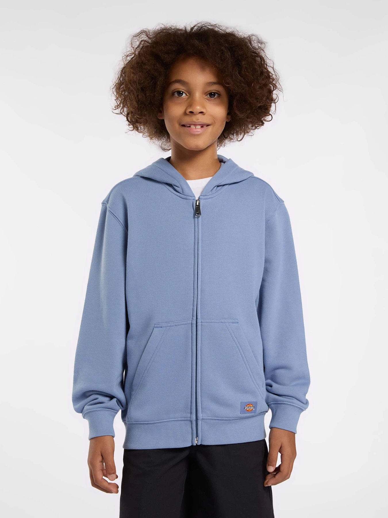 Худи и свитшоты Dickies Terry Full Zip модель DK0A4Z6WK371 Худи и свитшоты Dickies Terry Full Zip модель DK0A4Z6WK371 Фото