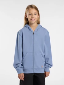 Худи и свитшоты Dickies Terry Full Zip модель DK0A4Z6WK371 Фото