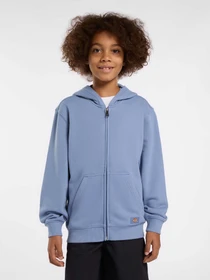 Худи и свитшоты Dickies Terry Full Zip модель DK0A4Z6WK371 Фото