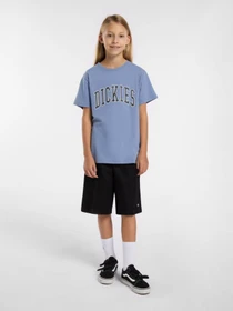Шорты Dickies Multi Pocket Work модель DK0A4Z7VBLK1 Фото