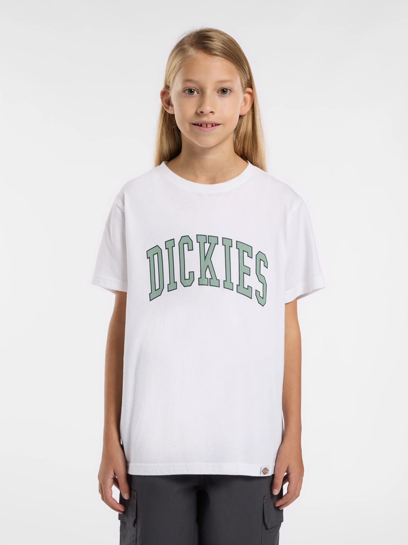 Футболки і поло Dickies Aitkin модель DK0A4Z8O0WH1 Фото