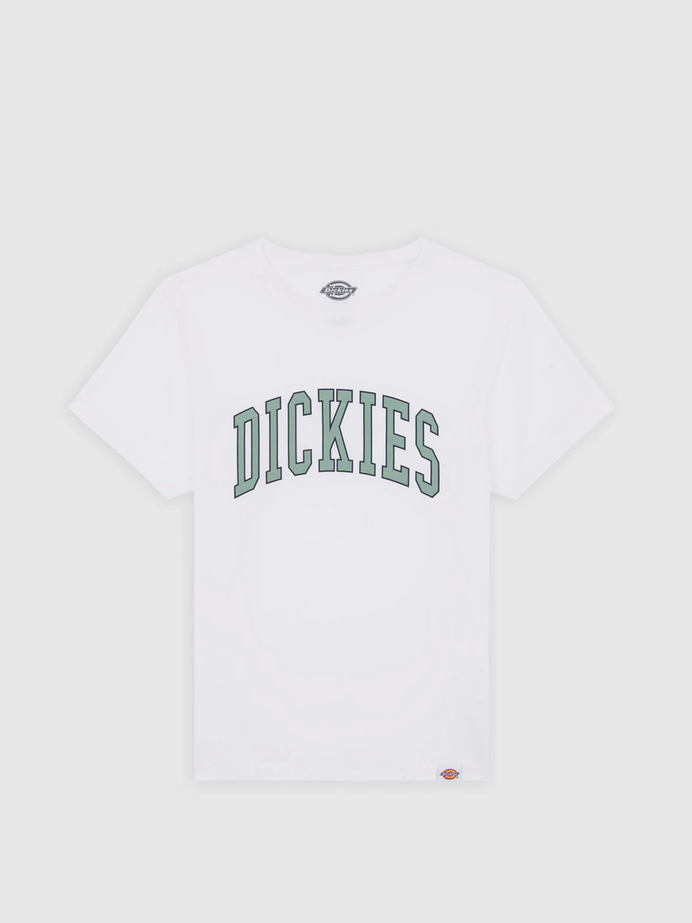 Футболки і поло Dickies Aitkin модель DK0A4Z8O0WH1 Фото