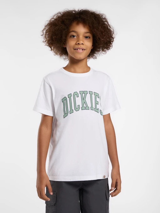 Футболки і поло Dickies Aitkin модель DK0A4Z8O0WH1 Фото