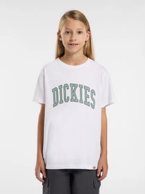 Футболки і поло Dickies Aitkin модель DK0A4Z8O0WH1 Фото