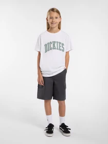 Футболки і поло Dickies Aitkin модель DK0A4Z8O0WH1 Фото