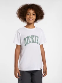 Футболки і поло Dickies Aitkin модель DK0A4Z8O0WH1 Фото