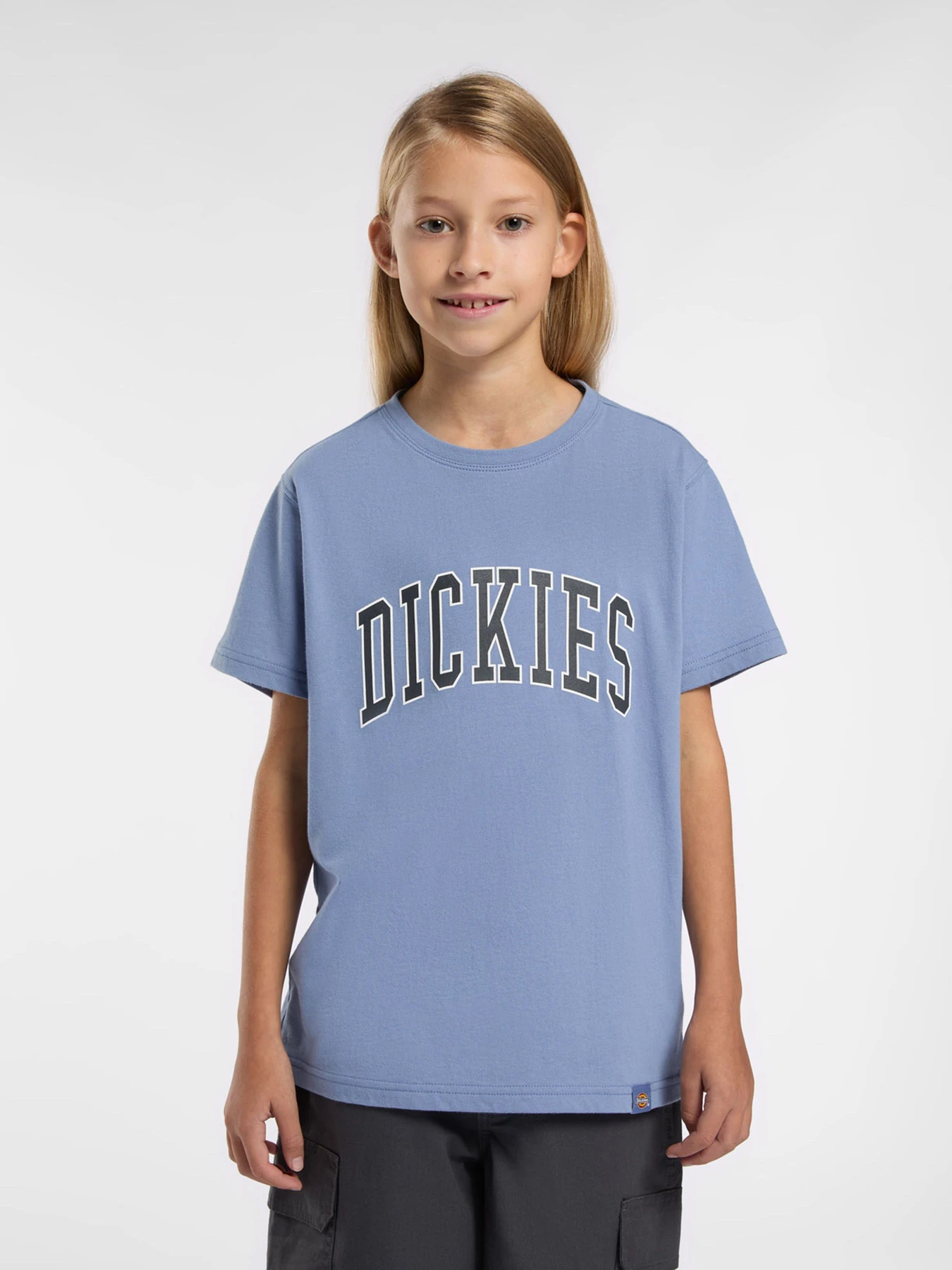 Футболки і поло Dickies Aitkin модель DK0A4Z8OK371 Фото