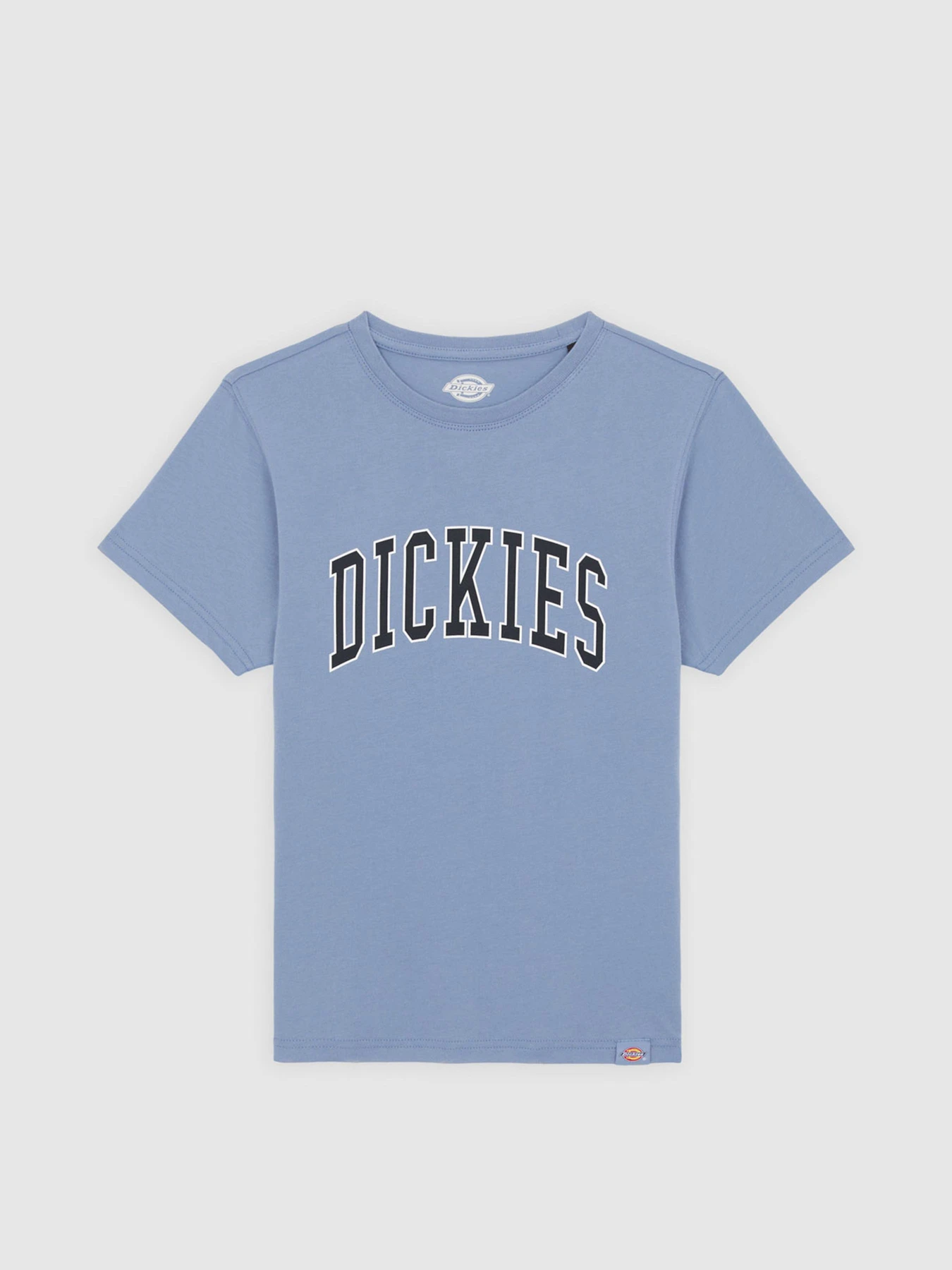 Футболки і поло Dickies Aitkin модель DK0A4Z8OK371 Фото