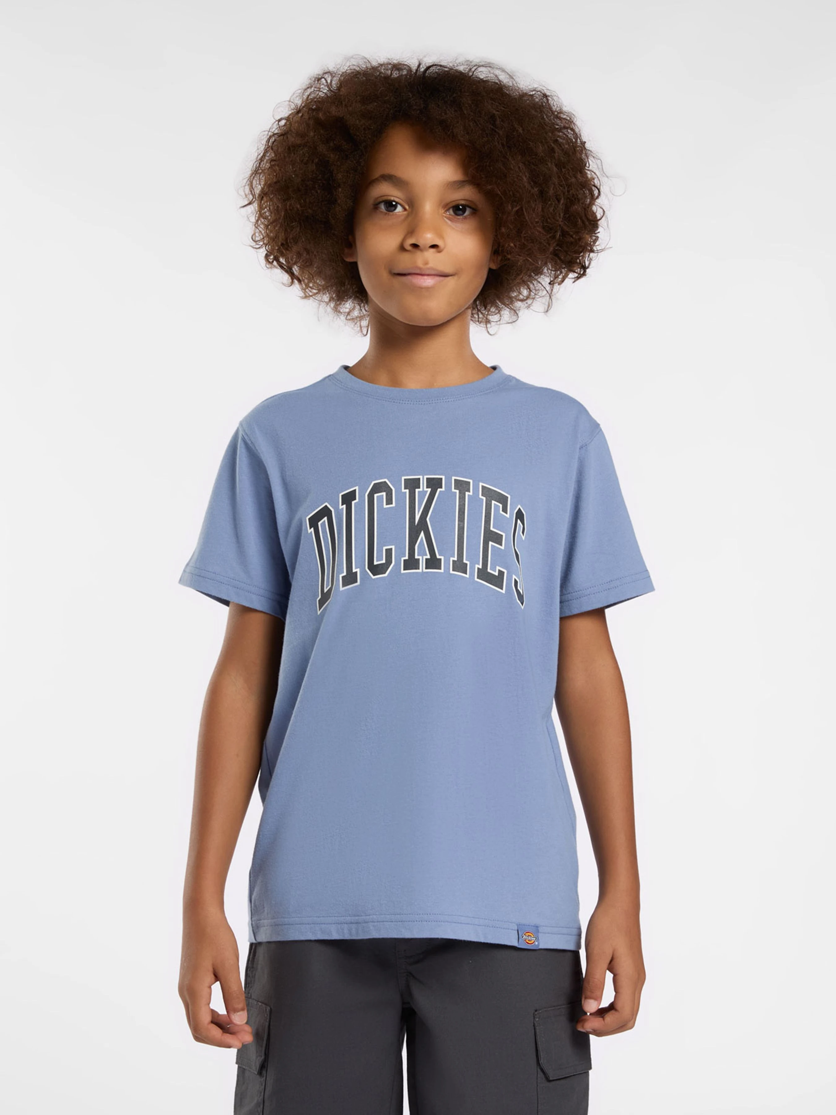 Бавовняна Дитяча Футболка Dickies Aitkin