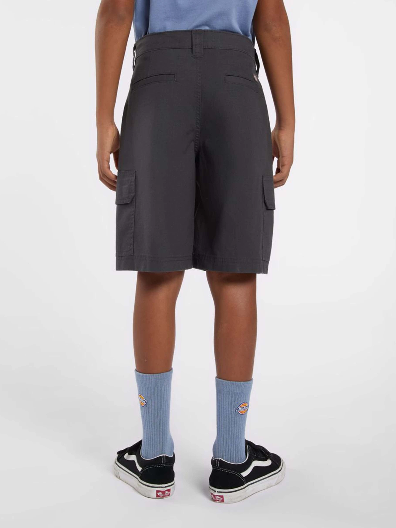 Шорты Dickies Rips модель DK0A862Z0CH1 Шорты Dickies Rips модель DK0A862Z0CH1 Фото
