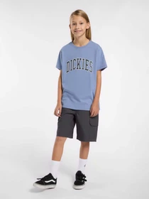 Шорты Dickies Rips модель DK0A862Z0CH1 Фото