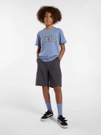 Шорты Dickies Rips модель DK0A862Z0CH1 Фото