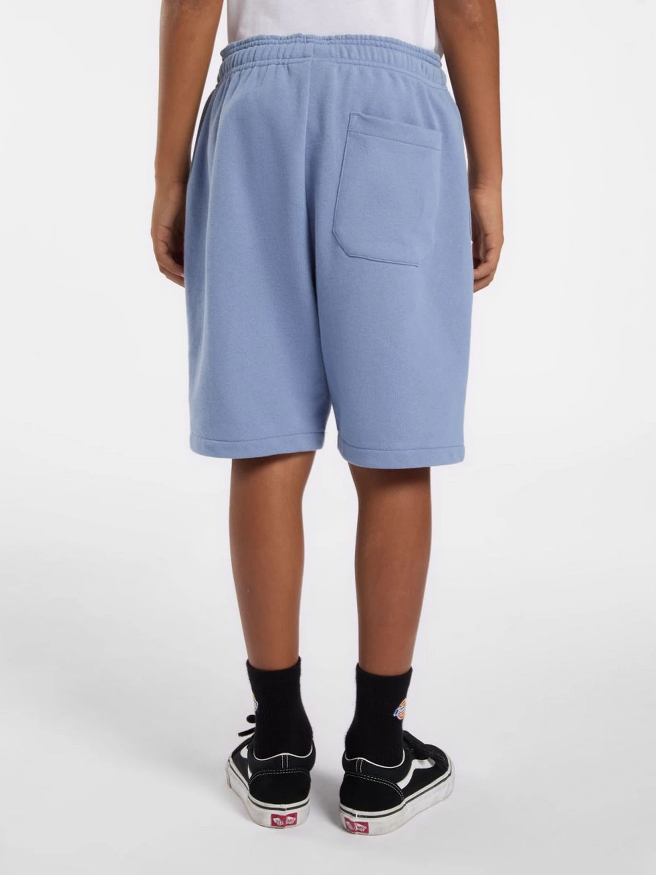 Шорти Dickies Youth Mapleton модель DK0KRR33K371 Шорти Dickies Youth Mapleton модель DK0KRR33K371 Фото