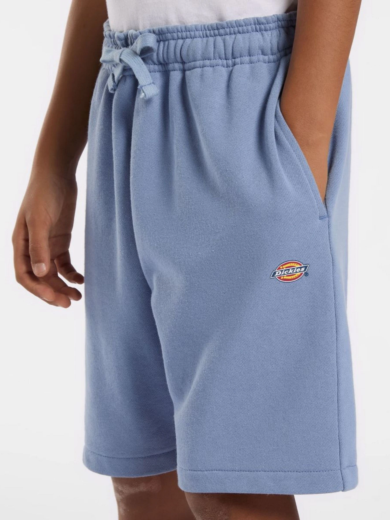 Шорти Dickies Youth Mapleton модель DK0KRR33K371 Шорти Dickies Youth Mapleton модель DK0KRR33K371 Фото