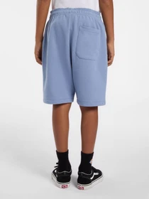 Шорти Dickies Youth Mapleton модель DK0KRR33K371 Фото
