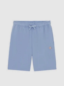 Шорти Dickies Youth Mapleton модель DK0KRR33K371 Фото