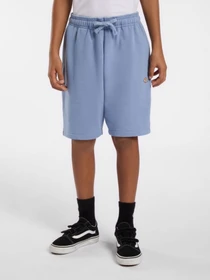 Шорты Dickies Youth Mapleton модель DK0KRR33K371 Фото