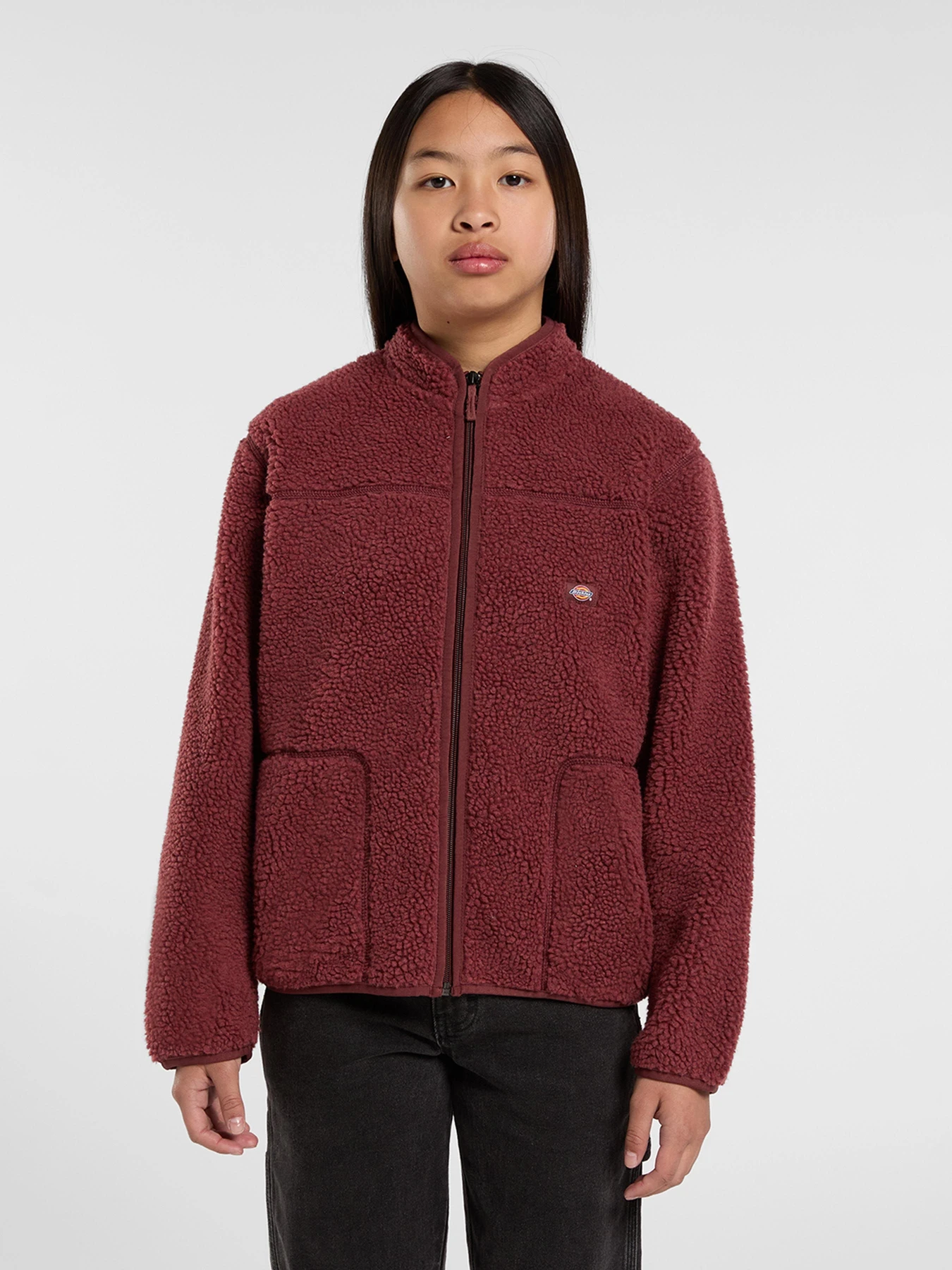 Худі та світшоти Dickies MOUNT HOPE FLEECE модель DK0A4Z3TL161 Худі та світшоти Dickies MOUNT HOPE FLEECE модель DK0A4Z3TL161 Фото