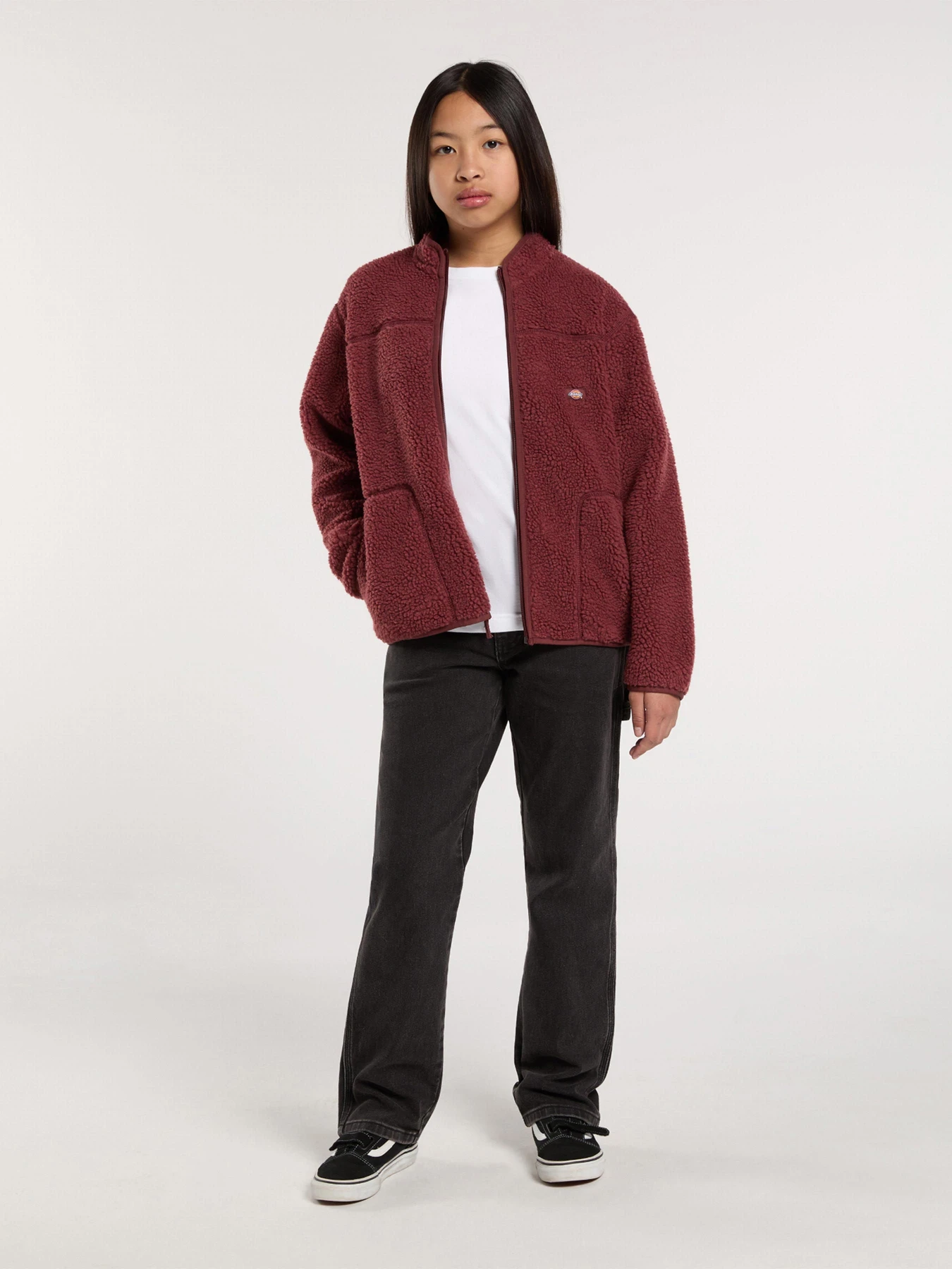 Худі та світшоти Dickies MOUNT HOPE FLEECE модель DK0A4Z3TL161 Худі та світшоти Dickies MOUNT HOPE FLEECE модель DK0A4Z3TL161 Фото