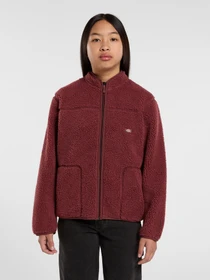 Худі та світшоти Dickies MOUNT HOPE FLEECE модель DK0A4Z3TL161 Фото