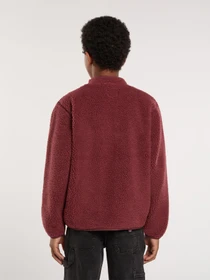 Худі та світшоти Dickies MOUNT HOPE FLEECE модель DK0A4Z3TL161 Фото