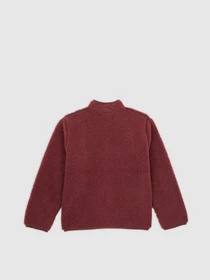 Худі та світшоти Dickies MOUNT HOPE FLEECE модель DK0A4Z3TL161 Фото