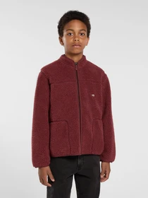 Худі та світшоти Dickies MOUNT HOPE FLEECE модель DK0A4Z3TL161 Фото
