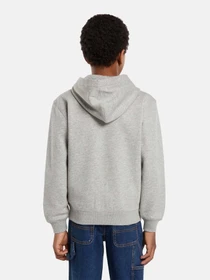 Худі та світшоти Dickies Youth Oakport модель DK0A88BO0H21 Фото