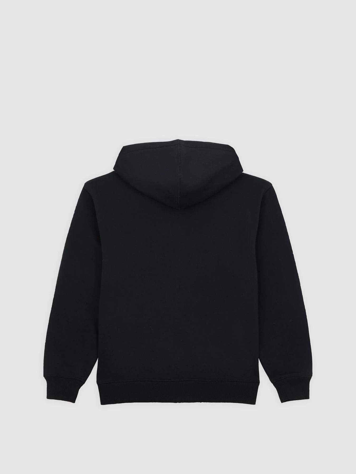 Худи и свитшоты Dickies Youth Oakport модель DK0A88BOBLK1 Фото