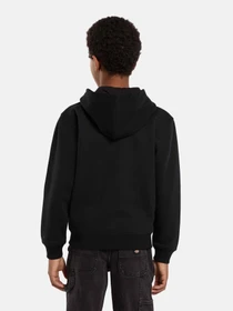 Худи и свитшоты Dickies Youth Oakport модель DK0A88BOBLK1 Фото