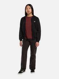 Худи и свитшоты Dickies Youth Oakport модель DK0A88BOBLK1 Фото
