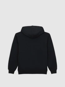 Худи и свитшоты Dickies Youth Oakport модель DK0A88BOBLK1 Фото