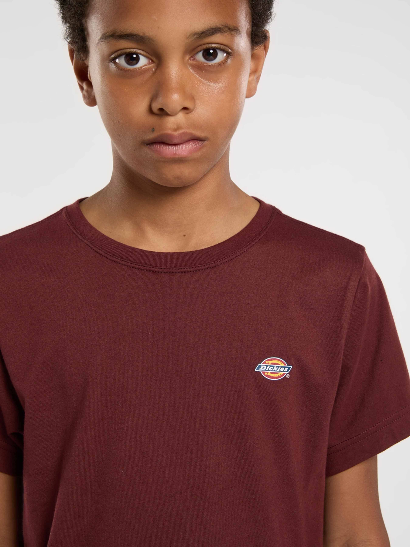 Футболки и поло Dickies Youth Mapleton модель DK0KSR64L161 Футболки и поло Dickies Youth Mapleton модель DK0KSR64L161 Фото