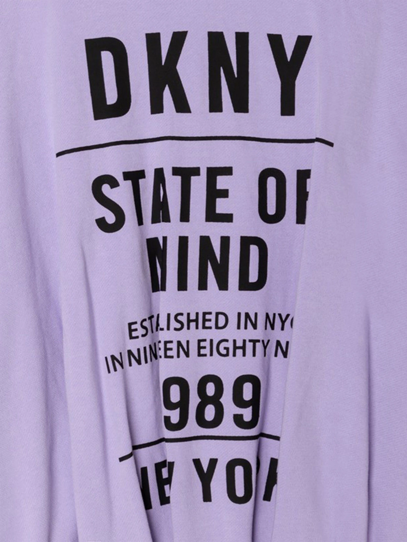 Худі та світшоти DKNY модель D35R83/925 Худі та світшоти DKNY модель D35R83/925 Фото