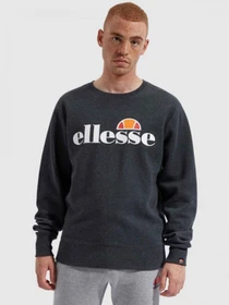 Худи и свитшоты Ellesse модель SHC07930-DKGRMARL Фото