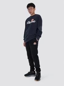 Худи и свитшоты Ellesse модель SHC07930-NAVY Фото