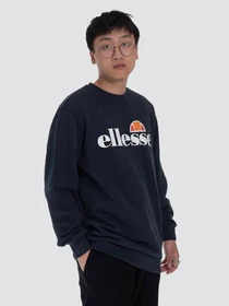 Худи и свитшоты Ellesse модель SHC07930-NAVY Фото