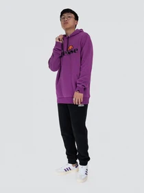 Худі та світшоти Ellesse модель SHI07407-PURPLE Фото