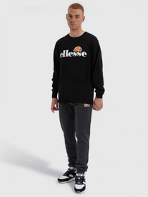Брюки Ellesse модель SHC07444-DKGRMARL Фото