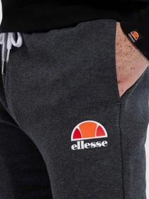 Брюки Ellesse модель SHC07444-DKGRMARL Фото