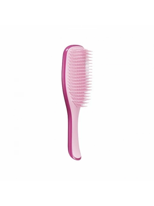 Щітка для волосся The Wet Detangler Tangle Teezer модель 5060630047047 Фото