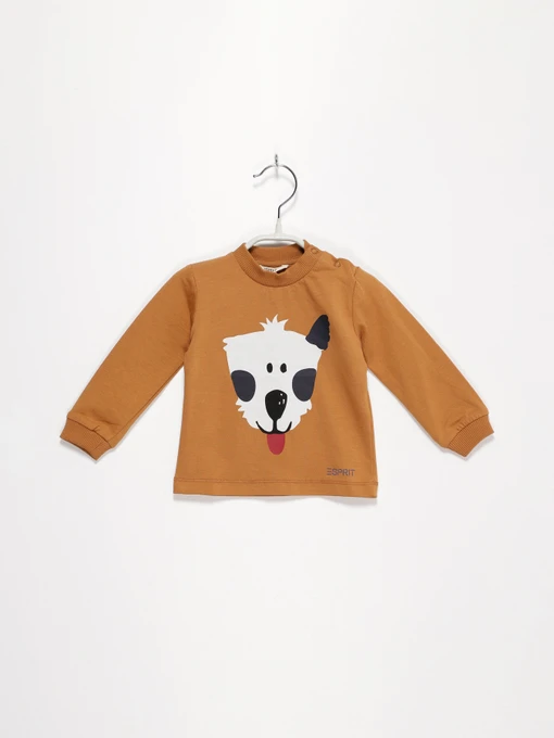 Худи и свитшоты Esprit модель 7040921003_с.коричневий комб. Фото