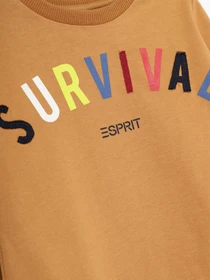 Худі та світшоти Esprit модель 7040941007_с.коричневий комб. Фото