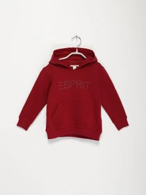 Худі та світшоти Esprit модель 7040941502_бордовий Фото