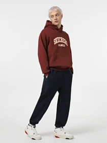 Худі та світшоти Skechers Skech-Sweats La модель HD47 DKBR Фото